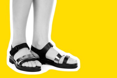 Bayan giysi ayakkabısı. Deri sandalet giyen uzun ince kadın bacakları. Fotokopi alanı olan moda modeli. Klasik ve günlük kıyafet konsepti. Ayrıntılı yakın çekim stüdyo çekimi. Dergi tarzı moda kolajı