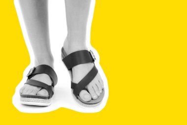 Bayan giysi ayakkabısı. Deri sandalet giyen uzun ince kadın bacakları. Fotokopi alanı olan moda modeli. Klasik ve günlük kıyafet konsepti. Ayrıntılı yakın çekim stüdyo çekimi. Dergi tarzı moda kolajı