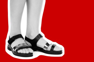 Bayan giysi ayakkabısı. Deri sandalet giyen uzun ince kadın bacakları. Fotokopi alanı olan moda modeli. Klasik ve günlük kıyafet konsepti. Ayrıntılı yakın çekim stüdyo çekimi. Dergi tarzı moda kolajı