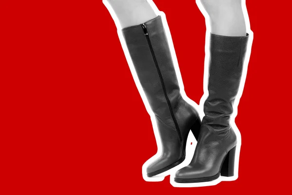 Dames Outfit Schoenen Lange Slanke Vrouwelijke Benen Dragen Hoge Hiel — Stockfoto