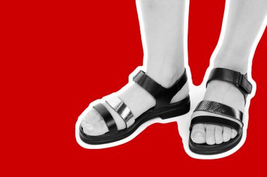 Bayan giysi ayakkabısı. Deri sandalet giyen uzun ince kadın bacakları. Fotokopi alanı olan moda modeli. Klasik ve günlük kıyafet konsepti. Detaylı yakın çekim stüdyo çekimi Magazin tarzı moda kolajı