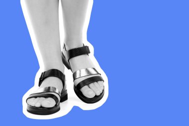 Bayan giysi ayakkabısı. Deri sandalet giyen uzun ince kadın bacakları. Fotokopi alanı olan moda modeli. Klasik ve günlük kıyafet konsepti. Ayrıntılı yakın çekim stüdyo çekimi. Dergi tarzı moda kolajı