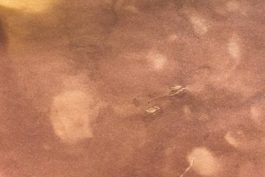 Eski kağıt çarşaf. Toz ve kirli lekelerle dolu boş bir arka plan. Eski ve antika sanat konsepti. Ayrıntılı yakın çekim stüdyo çekimi. Ön manzara. Ayarlanmış