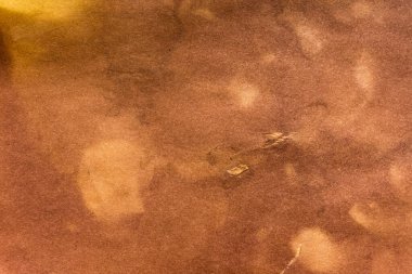 Eski kağıt çarşaf. Toz ve kirli lekelerle dolu boş bir arka plan. Eski ve antika sanat konsepti. Ayrıntılı yakın çekim stüdyo çekimi. Ön manzara. Ayarlanmış