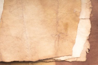 Eski kağıt çarşaf. Toz ve kirli lekelerle dolu boş bir arka plan. Eski ve antika sanat konsepti. Ayrıntılı yakın çekim stüdyo çekimi. Ön manzara. Ayarlanmış