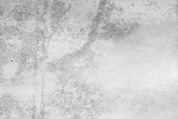 Aged paper sheet. Blank old background with dust and dirty stains. Vintage and antique art concept. Detailed closeup studio shot. Front view. Toned