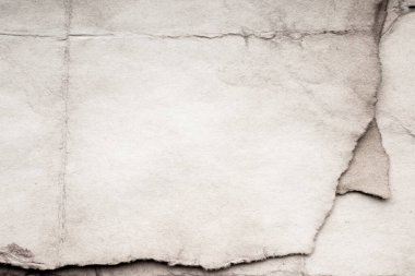 Eski kağıt çarşaf. Toz ve kirli lekelerle dolu boş bir arka plan. Eski ve antika sanat konsepti. Ayrıntılı yakın çekim stüdyo çekimi. Ön manzara. Ayarlanmış
