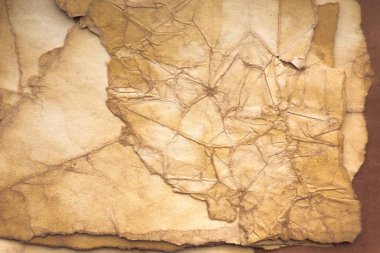 Aged paper sheet. Blank old background with dust and dirty stains. Vintage and antique art concept. Poster mockup. Detailed closeup studio shot. Front view. Toned
