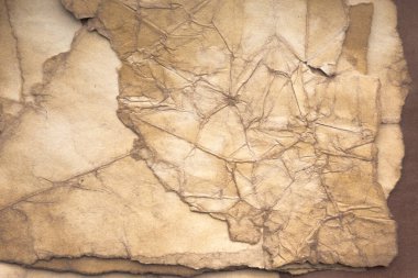 Aged paper sheet. Blank old background with dust and dirty stains. Vintage and antique art concept. Poster mockup. Detailed closeup studio shot. Front view. Toned