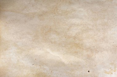 Aged paper sheet. Blank old background with dust and dirty stains. Vintage and antique art concept. Poster mockup. Detailed closeup studio shot. Front view. Toned