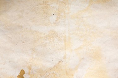 Aged paper sheet. Blank old background with dust and dirty stains. Vintage and antique art concept. Poster mockup. Detailed closeup studio shot. Front view. Toned