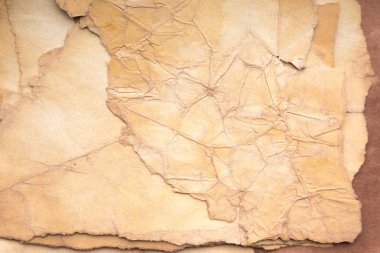 Aged paper sheet. Blank old background with dust and dirty stains. Vintage and antique art concept. Poster mockup. Detailed closeup studio shot. Front view. Toned