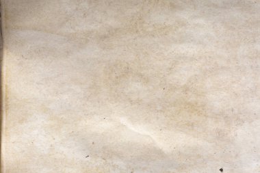 Aged paper sheet. Blank old background with dust and dirty stains. Vintage and antique art concept. Poster mockup. Detailed closeup studio shot. Front view. Toned