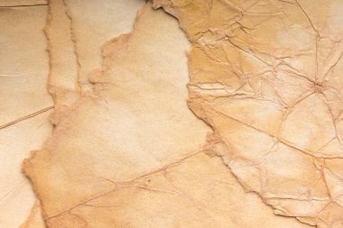 Aged paper sheet. Blank old background with dust and dirty stains. Vintage and antique art concept. Poster mockup. Detailed closeup studio shot. Front view. Toned