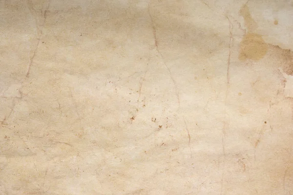 Aged paper sheet. Blank old background with dust and dirty stains. Vintage and antique art concept. Poster mockup. Detailed closeup studio shot. Front view. Toned