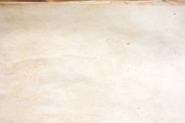 Aged paper sheet. Blank old background with dust and dirty stains. Vintage and antique art concept. Poster mockup. Detailed closeup studio shot. Front view. Toned