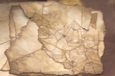 Aged paper sheet. Blank old background with dust and dirty stains. Vintage and antique art concept. Poster mockup. Detailed closeup studio shot. Front view. Toned