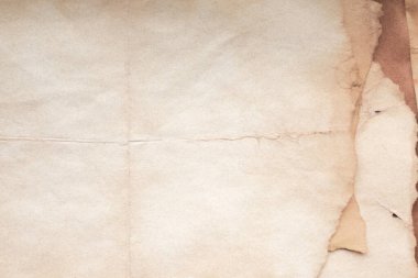 Aged paper sheet. Blank old background with dust and dirty stains. Vintage and antique art concept. Poster mockup. Detailed closeup studio shot. Front view. Toned