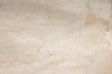 Aged paper sheet. Blank old background with dust and dirty stains. Vintage and antique art concept. Poster mockup. Detailed closeup studio shot. Front view. Toned
