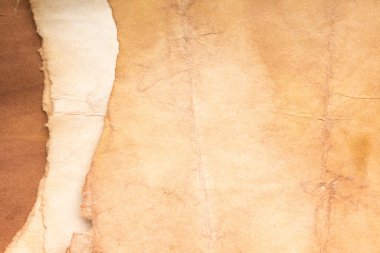 Aged paper sheet. Blank old background with dust and dirty stains. Vintage and antique art concept. Poster mockup. Detailed closeup studio shot. Front view. Toned