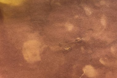 Aged paper sheet. Blank old background with dust and dirty stains. Vintage and antique art concept. Poster mockup. Detailed closeup studio shot. Front view. Toned