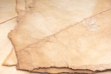 Aged paper sheet. Blank old background with dust and dirty stains. Vintage and antique art concept. Poster mockup. Detailed closeup studio shot. Front view. Toned