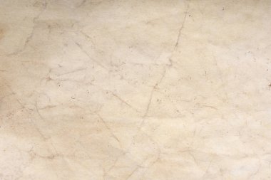 Aged paper sheet. Blank old background with dust and dirty stains. Vintage and antique art concept. Poster mockup. Detailed closeup studio shot. Front view. Toned