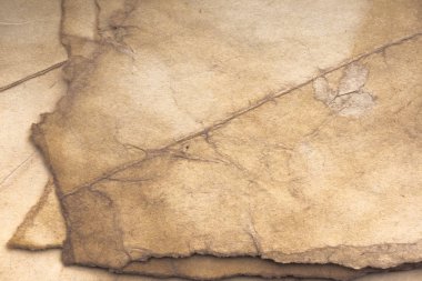 Aged paper sheet. Blank old background with dust and dirty stains. Vintage and antique art concept. Poster mockup. Detailed closeup studio shot. Front view. Toned