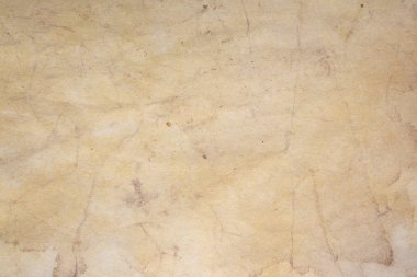 Aged paper sheet. Blank old background with dust and dirty stains. Vintage and antique art concept. Poster mockup. Detailed closeup studio shot. Front view. Toned