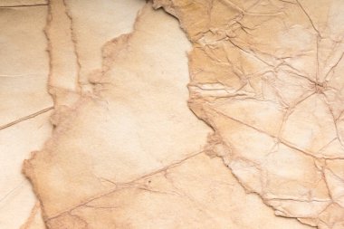 Aged paper sheet. Blank old background with dust and dirty stains. Vintage and antique art concept. Poster mockup. Detailed closeup studio shot. Front view. Toned