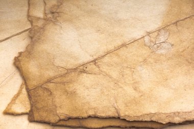 Aged paper sheet. Blank old background with dust and dirty stains. Vintage and antique art concept. Poster mockup. Detailed closeup studio shot. Front view. Toned