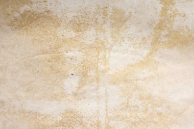 Aged paper sheet. Blank old background with dust and dirty stains. Vintage and antique art concept. Poster mockup. Detailed closeup studio shot. Front view. Toned