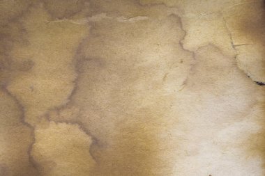 Aged paper sheet. Blank old background with dust and dirty stains. Vintage and antique art concept. Poster mockup. Detailed closeup studio shot. Front view. Toned