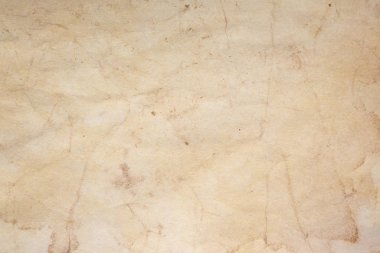 Aged paper sheet. Blank old background with dust and dirty stains. Vintage and antique art concept. Poster mockup. Detailed closeup studio shot. Front view. Toned
