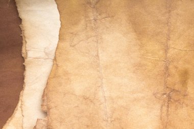 Aged paper sheet. Blank old background with dust and dirty stains. Vintage and antique art concept. Poster mockup. Detailed closeup studio shot. Front view. Toned