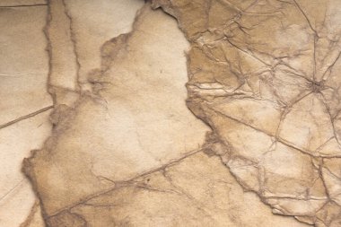 Aged paper sheet. Blank old background with dust and dirty stains. Vintage and antique art concept. Poster mockup. Detailed closeup studio shot. Front view. Toned