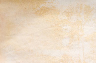 Aged paper sheet. Blank old background with dust and dirty stains. Vintage and antique art concept. Poster mockup. Detailed closeup studio shot. Front view. Toned