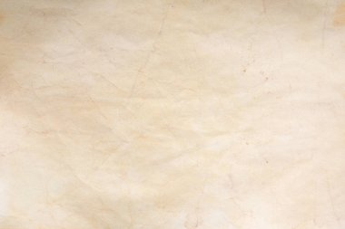 Aged paper sheet. Blank old background with dust and dirty stains. Vintage and antique art concept. Poster mockup. Detailed closeup studio shot. Front view. Toned