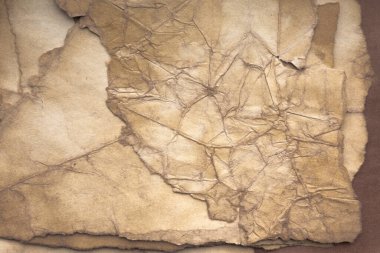 Aged paper sheet. Blank old background with dust and dirty stains. Vintage and antique art concept. Poster mockup. Detailed closeup studio shot. Front view. Toned