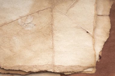 Aged paper sheet. Blank old background with dust and dirty stains. Vintage and antique art concept. Poster mockup. Detailed closeup studio shot. Front view. Toned