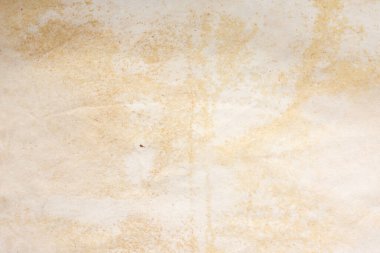 Aged paper sheet. Blank old background with dust and dirty stains. Vintage and antique art concept. Poster mockup. Detailed closeup studio shot. Front view. Toned