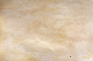Aged paper sheet. Blank old background with dust and dirty stains. Vintage and antique art concept. Poster mockup. Detailed closeup studio shot. Front view. Toned