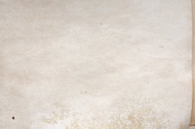Aged paper sheet. Blank old background with dust and dirty stains. Vintage and antique art concept. Poster mockup. Detailed closeup studio shot. Front view. Toned