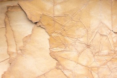 Aged paper sheet. Blank old background with dust and dirty stains. Vintage and antique art concept. Poster mockup. Detailed closeup studio shot. Front view. Toned