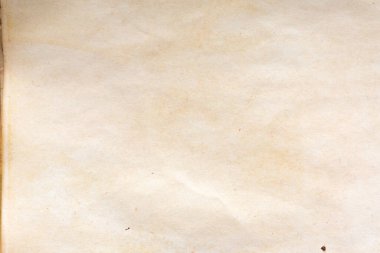 Aged paper sheet. Blank old background with dust and dirty stains. Vintage and antique art concept. Poster mockup. Detailed closeup studio shot. Front view. Toned