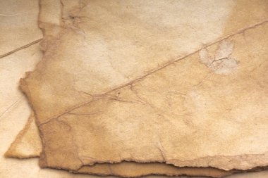 Aged paper sheet. Blank old background with dust and dirty stains. Vintage and antique art concept. Poster mockup. Detailed closeup studio shot. Front view. Toned