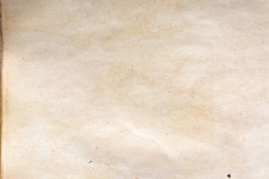 Aged paper sheet. Blank old background with dust and dirty stains. Vintage and antique art concept. Poster mockup. Detailed closeup studio shot. Front view. Toned
