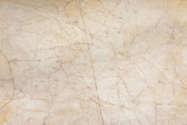 Aged paper sheet. Blank old background with dust and dirty stains. Vintage and antique art concept. Poster mockup. Detailed closeup studio shot. Front view. Toned