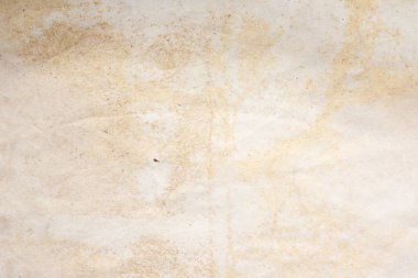 Aged paper sheet. Blank old background with dust and dirty stains. Vintage and antique art concept. Poster mockup. Detailed closeup studio shot. Front view. Toned