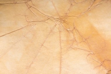 Aged paper sheet. Blank old background with dust and dirty stains. Vintage and antique art concept. Poster mockup. Detailed closeup studio shot. Front view. Toned